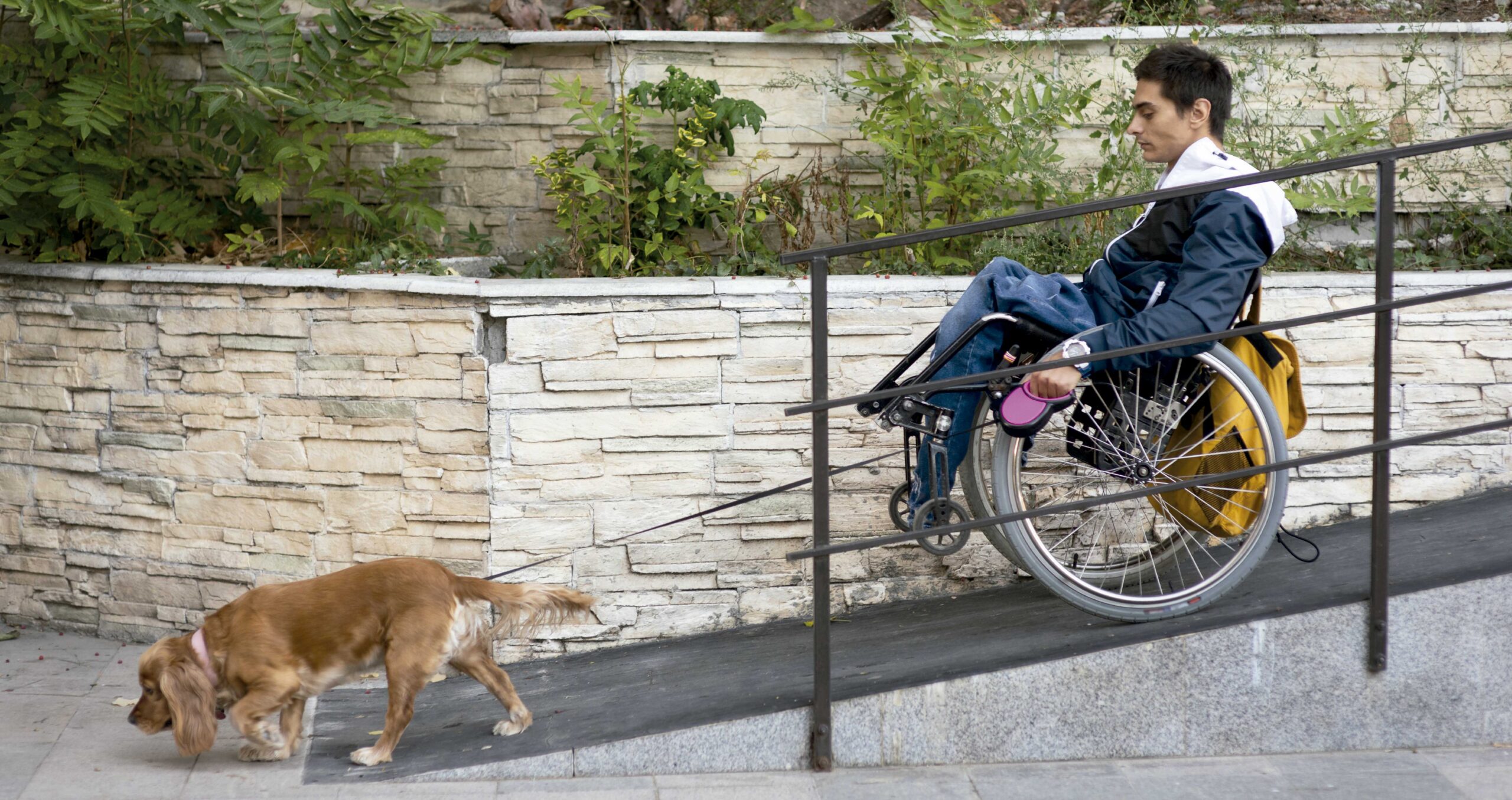 Accesibilidad_capedinhperu.org