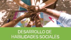 Sección Desarrollo de evaluaciones sociales _web capedihnperu.org